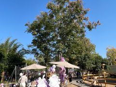 -HERRE·FARM 赫尔露营农场·团建聚会包场