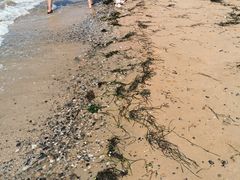 -东戴河风景区-止锚湾