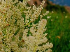 -白草畔自然风景区