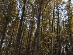 -南京金牛湖风景区