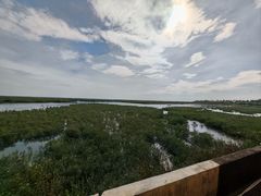 -北海金海湾红树林生态旅游区