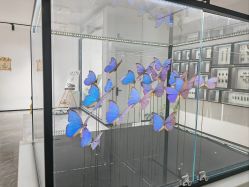 -酷嗒动物文化乐园(cutezoo西溪乐天城店)