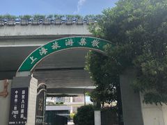 -上海旅游集散中心(万体站)