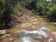 -广州白江湖森林公园