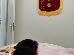 -美联众合爱康动物医院•复杂内科•肿瘤科•牙科•腔镜诊疗中心