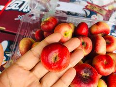 -鲜力达果品批发直销(青山店)