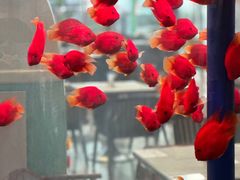 -上海南京路步行街假日酒店