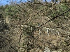 -王顺山国家森林公园