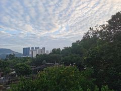 -深圳野生动物园