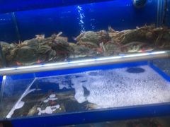 -船梆煮•蒸汽海鲜·生腌干蒸(五四广场店)