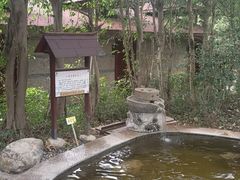 -金穗园温泉酒店