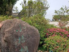 -梧桐山风景名胜区