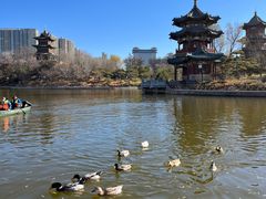 -迎泽公园