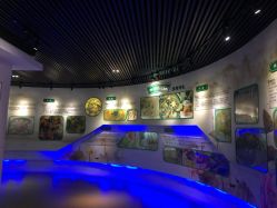 -水八仙生态园