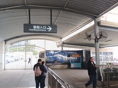 -厦门邮轮中心厦鼓码头(轮渡站)