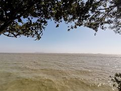 -贡湖湾湿地公园