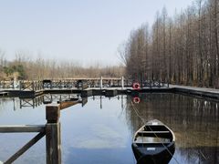 -溱湖国家湿地公园