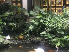 -北园酒家(小北路店)