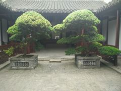 -水绘园