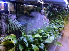 -街角等你.大连海鲜烧烤(西安路店)