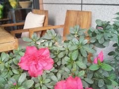 -ITA·意塔意大利餐厅(亦庄店)