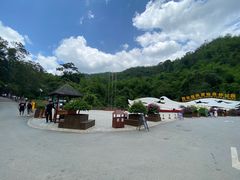 -西双版纳原始森林公园
