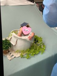 -西瓜庄园儿童摄影