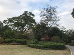 -桃花岛景观公园