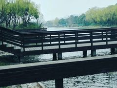 -新江湾城公园