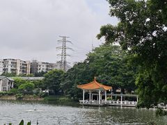 -荔湾湖公园