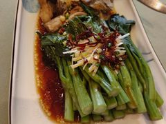 -红星渔村(将军石店)