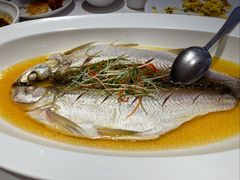 -天福苑(崇宁路店)