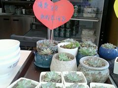 -金乐活美食(中街店)