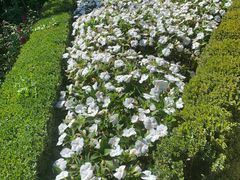 -阿尔罕布拉宫
