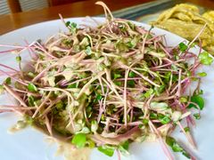 搅拌豌豆苗-砂锅居(西四店)