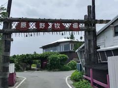 -原野牧场