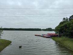 -上海海湾国家森林公园