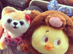 -LLJ夹机占(清河万象汇店)