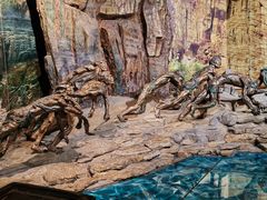 -重庆中国三峡博物馆(重庆博物馆)