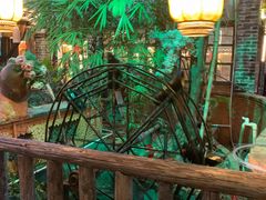 -园林美食城·本土农家菜(杨和镇店)