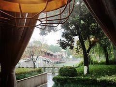 -四季春