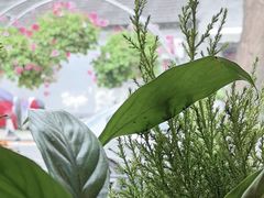 -萤火虫咖啡(后海店)