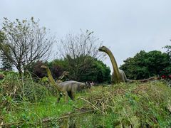 -自贡恐龙博物馆