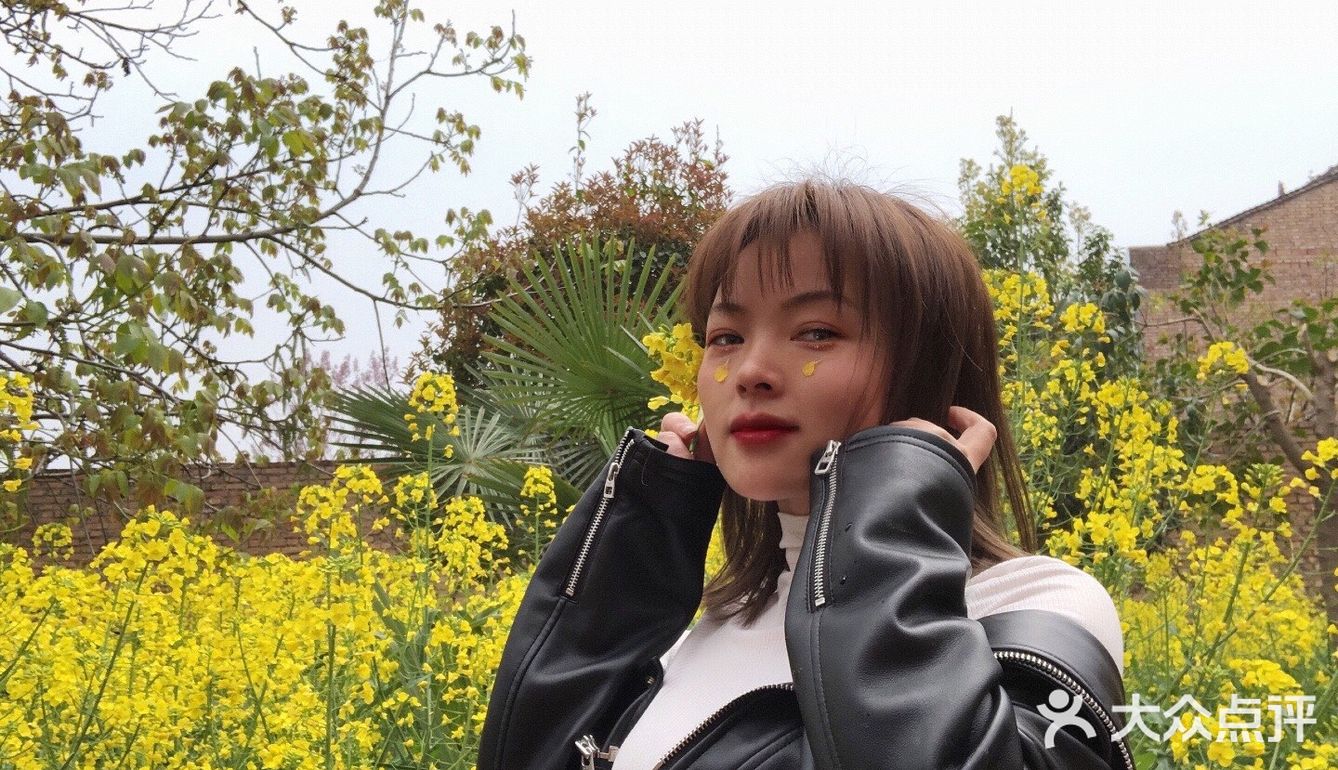 油菜花盛开地