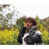 油菜花盛开地