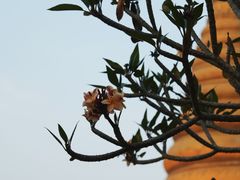 -一寨两国风景区