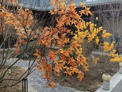 -花韵丁香酒店(北京南站牛街店)