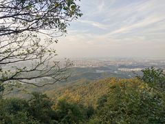 -紫金山山顶公园