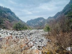 -陕西省红河谷森林公园