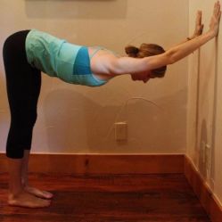 -兰瑜伽·普拉提